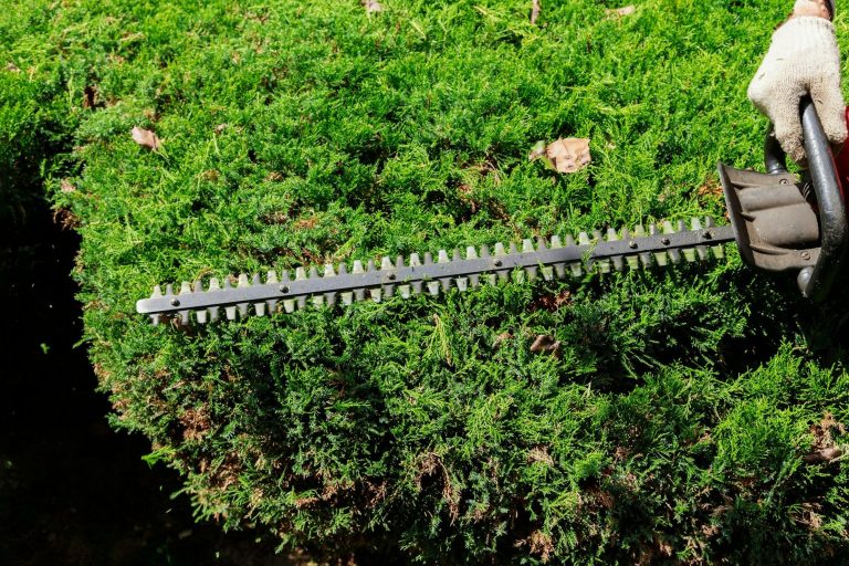 Außenanlagenpflege Gartenpflege Hausmeisterservice